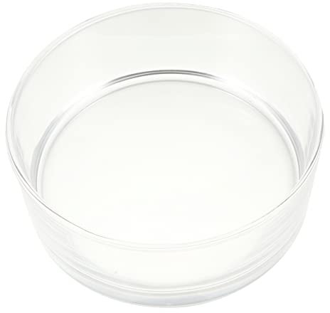 Happyyami Macetero Redondo De Cristal Boda Cilindro Florero Rústico Contenedor De Plantas Hidropónicas Soporte De Exhibición De Planta De Aire Largo Maceteros Vaso De Cristal Orquídea Vidrio