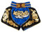 MUAY NATION Muay Thai Shorts für Männer Frauen Slim Cut MMA Boxshorts Training Kickbox-Kleidung Kampfsport-Shorts (DE/NL/SE/PL, Alphanumerisch, L, Regular, Regular, Blau)