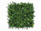 Vegetation Grob Hedera/Efeu Kunsthecke – 50x50cm - 4 Stück – Künstliche Hecke mit Blickdichter Rückseite – Kunsthecke mit Hohe Dichte, Efeu Kunsthecke für den Innen- und Außenbereich, Efeuhecke