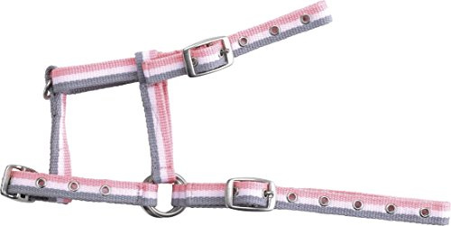 EKKIA Norton verstellbares Fohlenhalfter Nylon, gestreift