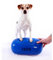Pezzi Mini Eggball 18 cm Gymnastikball Fitnessball Sport Fitness Training Ball