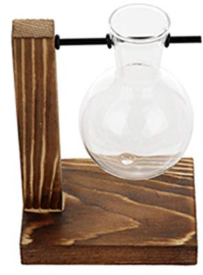 HLTER Pot de fleurs en verre transparent avec support en bois rétro et support pivotant en métal pour plantes hydroponiques