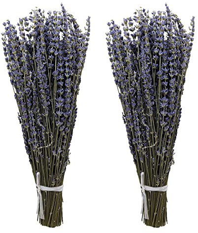 Aisamco 2 Stück getrocknete Lavendelbündel, natürliche getrocknete Lavendelblüten, 40 cm Länge, natürliche getrocknete Blumen für Zuhause, Hochzeit, Blumendekoration
