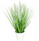 Flair Flower Künstliches Fuchsschwanzgras im Topf Gras Kunstpflanze Kunstgras Ziergras Grünpflanzen Dekogras Grasbüschel Ziergras Solitärgras Deko Grasarrangement Borstenhirse Süßgräser