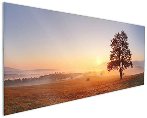 Wallario Küchenrückwand aus Glas 125 x 50 cm, Motiv: Sonnenaufgang über der Wiese mit Nebel | Spritzschutz abwischbar & pflegeleicht