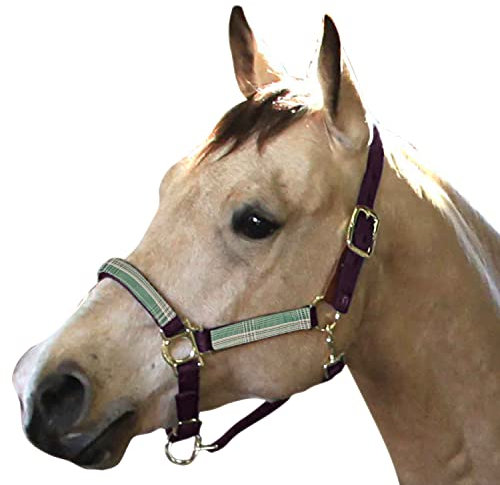 Kensington Premium Breakaway Halfter Größe: XL-Lrg.Pferdefarbe: 2019 - Imperial Jade