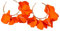 FDEETY Ohrringe Damen Acryl Kreis Hängend Hoop Blütenblatt Ohrringe 925 Silber Nadel Ohrstecker Böhmische Retro Modeschmuck Zubehör für Frauen Mädchen (Orange)