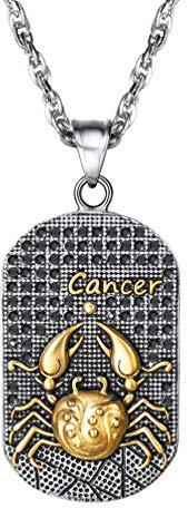 PROSTEEL Anhänger Halskette, Sternbilder Sternzeichen Krebs Dog Tag Erkennungsmarke Anhänger mit Kette, Edelstahl Horoskop Astrologie Halsschmuck