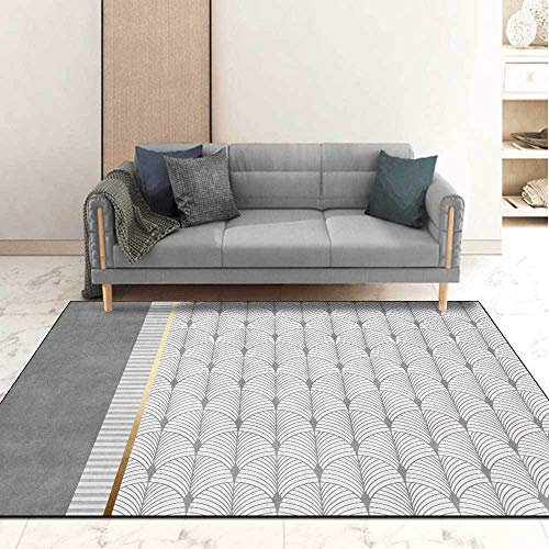 WLICWEI Modern Area Rugs Carpet Extra large Non-slip Floor Mat Nordic minimalist gray gold geometric fan shape 100x160CM (3'3''x5'2'') Home Accessories Living Bedroom Dining Room