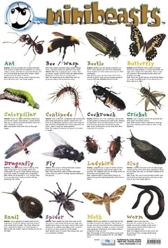 Grindstore Laminiertes Mini-Poster Beasts