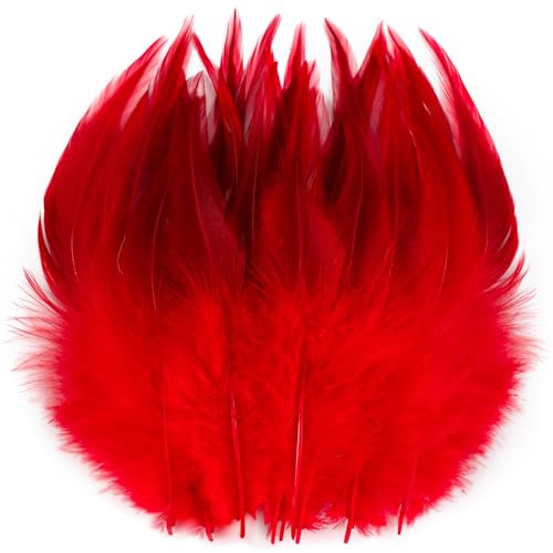 Holmgren Red Craft Rooster Feathers for Halloween Costumes, 200pcs 5-7inch | Feather for Crafting, School Art Projects, Hats, Jewelry Accessories, Cosplay Wings and Wedding Home Party Decorations