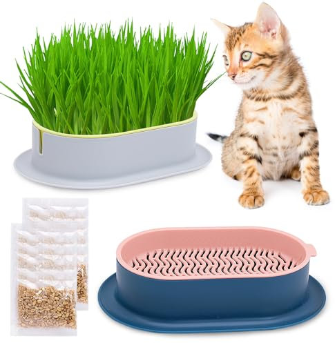 Fioriera Idroponica Per Erba Gatta,Ciotola per germinazione per gatti,set di piante per gatti,ciotole per erba per gatti,piante idroponiche,mangiatoia con erba per gatti, adatto per erba dei gatti