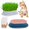TULEBOLIAN 2pcs Keimschale Katze,Katzengras Schale,Hydrokultur Gras Tablett,Pflanzschale für Katzengras,Samen Keimung Tablett Seed Sprouter Tray,Seed Sprouter Tablett Sämlinge,für Katzengras