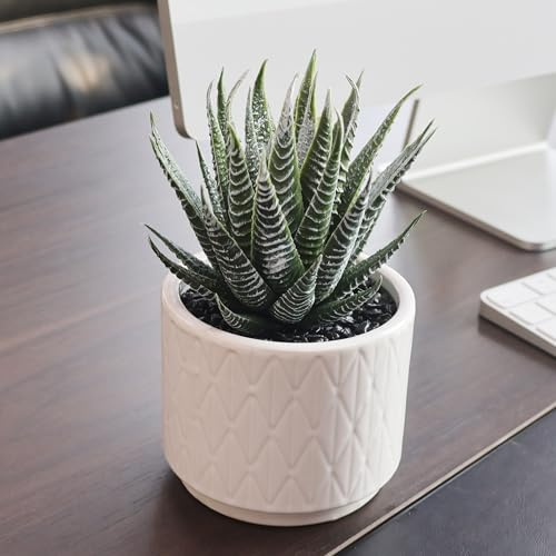 Jahe Aloe Vera Fake Plants, 6.7'' High Small Artificial Plants Outdoor, White Ceramic Pot Artificial Succulent, As a Gift Among Friends, Suitable for Bedroom, Bathroom, Living, Desk, 1 Pack.