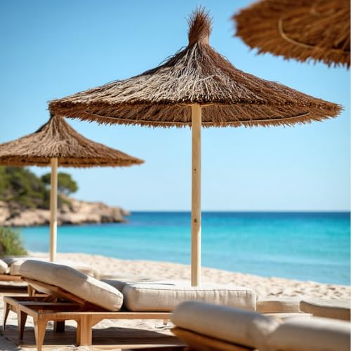CATRAL Manto de Brezo Natural Sunprotect BRU Ocultación y Sombra para Jardín 2.2 M