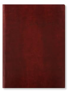 Letts of London Lecassa Terminplaner 2025, A6+, Wochenansicht, Braun