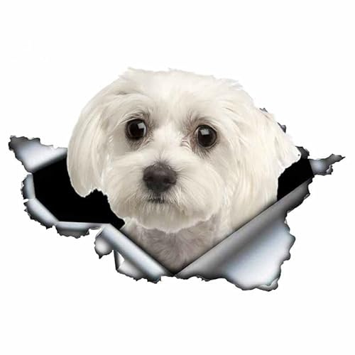 ROMOER (2 Stück) 3D Auto Aufkleber Schöne Malteser Hund Auto Aufkleber Dekoration Wasserdicht Fenster Boot Aufkleber Motorrad Abdeckung Scratch PVC Aufkleber 20 cm