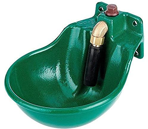 Bebedero empujador caballos pintado