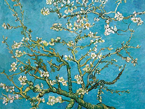 1art1 Vincent Van Gogh Blühende Mandelbaumzweige, 1890, 2-Teilig Fototapete Poster-Tapete 240x180 cm