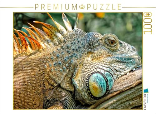 CALVENDO Puzzle Wunderschöner Leguan | 1000 Teile Lege-Größe 64 x 48 cm Foto-Puzzle für glückliche Stunden