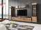 PIASKI Conjunto de Muebles de salón Vera II, iluminación LED Opcional, Juego de Muebles de salón, Distintos Colores (Wotan, con iluminación LED)