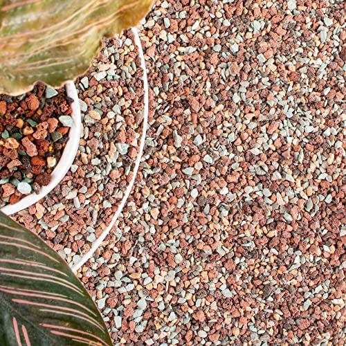 8,2 kg Mix Lavasteine für Pflanzen in der Tür – Kiessteine für Bonsai, Sukkulenten, Kaktus, Blumenerde und Vasenfüller, Feengartenarbeit, Top-Dressing