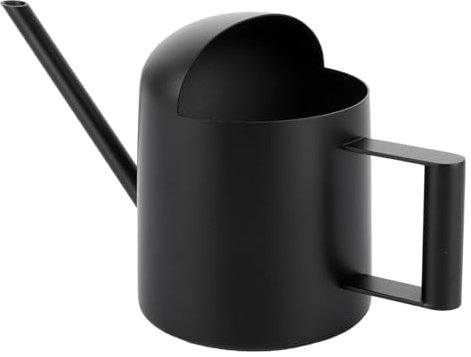 SHUESS Arrosoir pour Plantes d'Intérieur - 300 ml - Mini en Acier Inoxydable - Long Bec - Pour Plantes en Pot et Vertes - Noir