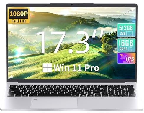 Fsjun Win 11 Pro & Office 2019 17.3 Zoll Laptop, Celeron N5095 bis 2,9 GHz, 16GB RAM, 512GB SSD, FHD IPS, Fingerabdruck, Beleuchtete Tastatur, Mini HDMI, 3× USB 3.0 (Silber, 16+512GB)