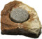 Dragon - Wasserschale - Futternapf - Felsschale mini mini ca.10ml Sand Stone mit Schwamm - BTH 6x6x2 cm