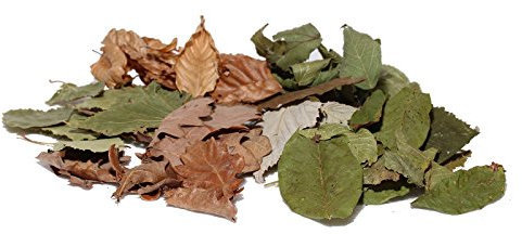 Nano Laubmix, 6-teilig - Garnelen- Wasserschnecken- und Krebsfutter