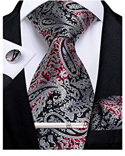 DiBanGu Tie for Men Silk Silver Paisley Necktie and Handkerchief Cufflinks Tie Clip Set Woven Formal Ties for Business