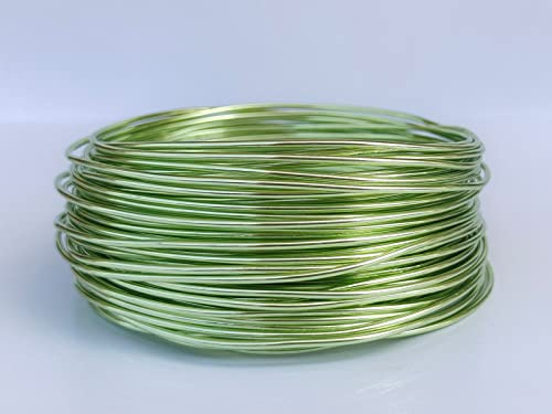 20 Gauge Anodized Aluminum Wire 164 Feet for Jewelry Making Craft DIY(0.8mm,Fruit Green,40808)