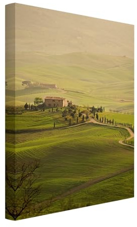 micasia Akustikbild Natur Landschaft Schallschutzbild 4cm Keilrahmen & Schallabsorber - Kunstkopie Modern grün Wohnzimmer Schlafzimmer Bild für bessere Raumakustik 1134 (50x70cm)