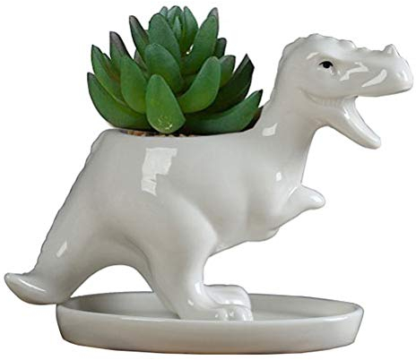KiaoTime Pots de fleurs en céramique blanche en forme de dinosaure pour plantes grasses - Pot de fleurs bonsaï - Vase pour cactus - Décoration de bureau - Pot à crayons pour chambre d'enfant