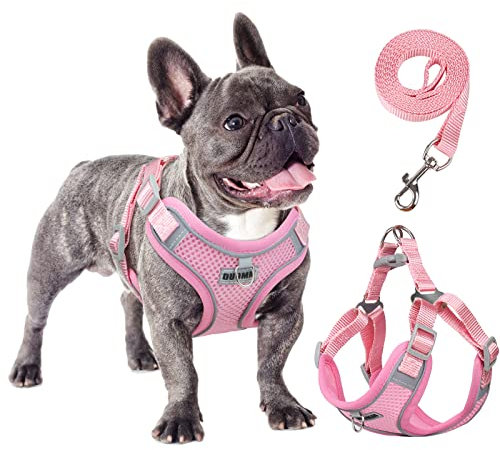 Rennaio Harnais Anti-tir pour Chien, Réglable avec 2 Clips de Laisse, Réfléchissant et Ensemble de Laisse pour Chiens de Petite et Moyenne Taille (Rose, XL)
