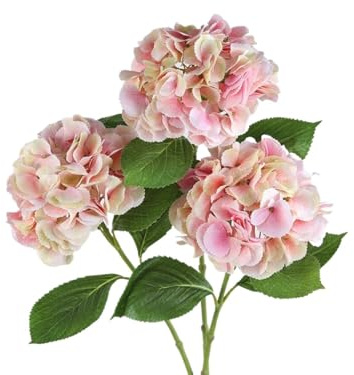 Exotischer getrockneter Blumenstrauß 3 Stängel handgefertigtes Hordera -Stiel mit Blättern, falsche Hortensie Blumenhandwerk für heimische Blumendekoration, Hochzeitsanordnung Herzstück Veranda