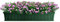 Bama Iris Jardinière avec Soucoupe, 60 x 18.5 x 16.5 cm 100 cm Green