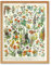 Artery8 Millot Encyclopedia Page Flowers Plants Art Print Framed Poster Wall Decor 12x16 inch