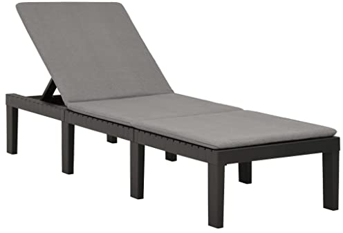 vidaXL Sonnenliege mit Auflage Gartenliege Liege Relaxliege Gartenmöbel Strandliege Freizeitliege Saunaliege Poolliege Kunststoff Anthrazit