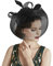 RUIXIA Chapeau Bibi de Cérémonie Bibi Mariage Béret pour Mariage Bibi Mariage avec Plume et Voile Pince Cheveux Mariage Cocktail Soirée