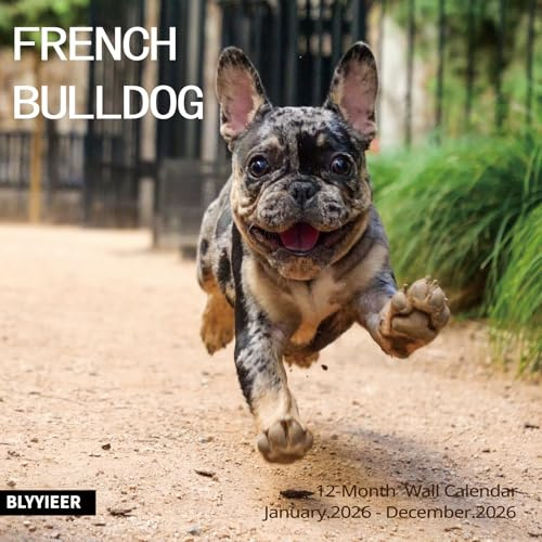 Wandkalender 2025–2026, französische Bulldogge, 30,5 x 61 cm, offen, Familienplaner, Kalender mit Bildern der französischen Bulldogge, für Hundeliebhaber