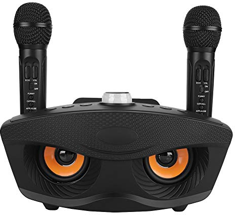 Goshyda Unité de karaoké Haut-Parleur de karaoké Haut-Parleur Bluetooth Home KTV Haut-Parleur Bluetooth de karaoké avec Deux Microphones(Noir)