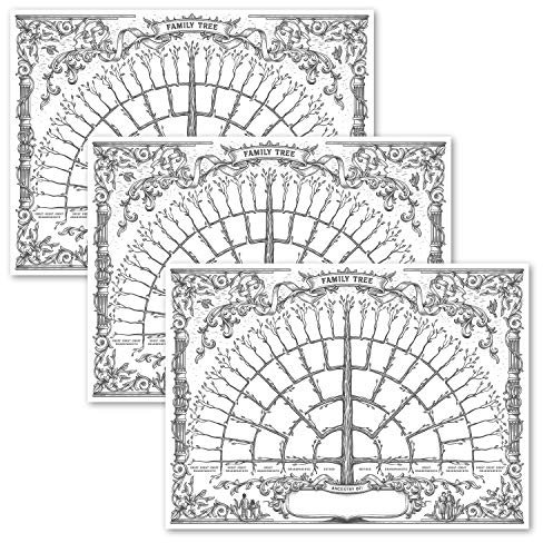Palace Learning Lot de 3 tableaux d'arbre généalogique à remplir - Poster généalogique de 6 générations - Tableau d'ascendance vierge à remplir [version 1] (45,7 x 61 cm)