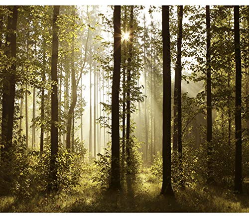 decomonkey Fototapete Wald 350x256 cm Tapete Fototapeten Vlies Tapeten Vliestapete Wandtapete moderne Wand Wandbild Schlafzimmer Wohnzimmer Landschaft Baum Natur