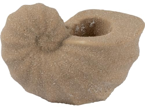 GreenGate Conch Muschel Kerzenhalter beige 19cm Set2