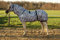 Hafer24 Ekzemerdecke Master mit Fliegenmaske - Farbe Zebra (85 cm/Maske XS)