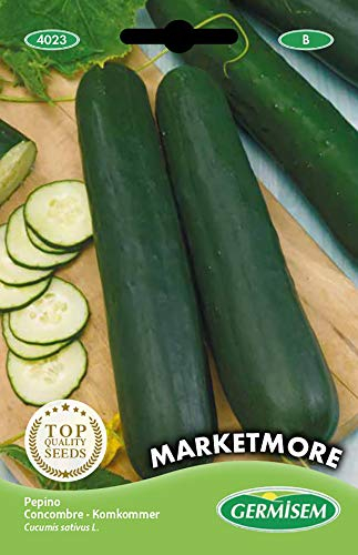 Germisem Gurke MARKETMORE EC4023 mehrfarbig
