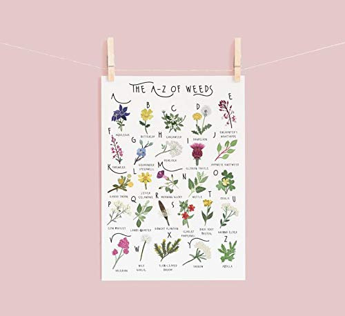 TNND Az Of Wildflowers Poster Wildflowers Botanical Poster Weed Identification Natural History Poster Plant Plant Gift Metal Sign Poster 8x12 inches