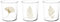 H&H Starck Gold Set 12 Bicchieri in Vetro Decorati, cc350