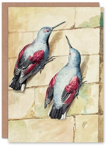 Artery8 Aert Schouman Art Card Two Wallcreepers Watercolour Painting